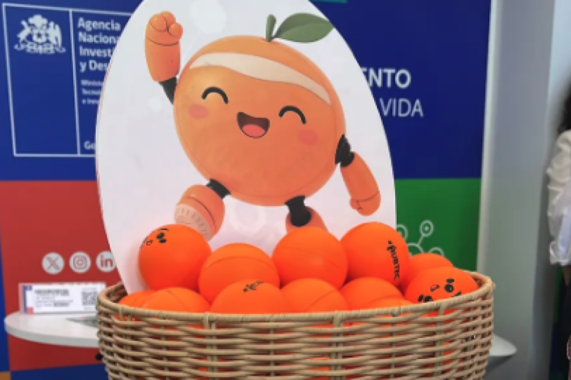 Captura de pantalla 2025-11-26 a la(s) 11.43.13 p.m.